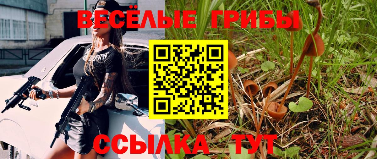 Галлюциногенные грибы Psilocybine cubensis Урус-Мартан