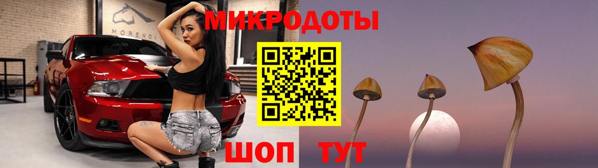 Урус-Мартан  Псилоцибиновые грибы мухоморы  Вход с VPN 